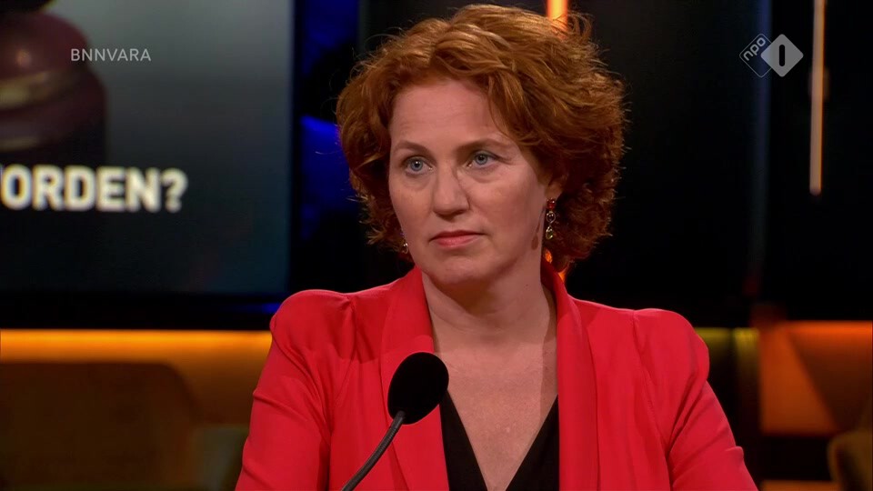 Gert-Jan Segers (ChristenUnie), Kathalijne Buitenweg (GroenLinks) en advocaat Gerald Roethof over zwaarder bestraffen van hate-crimes