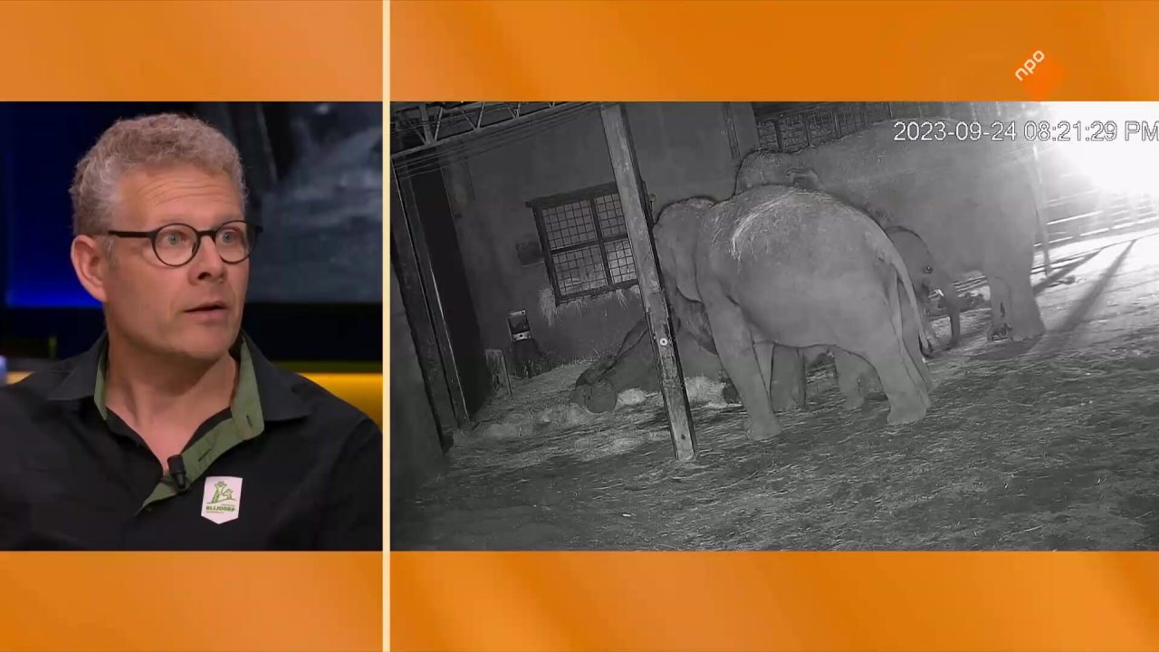 Kasper Willebrandts moest afscheid nemen van de oudste olifant van Nederland